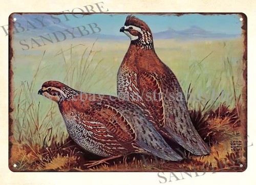 Hunting Quail - 1950年代のストルツビール社のリン・ボーグ・ハント・クエイル狩猟用金属製ブリキ看板、屋内壁飾り