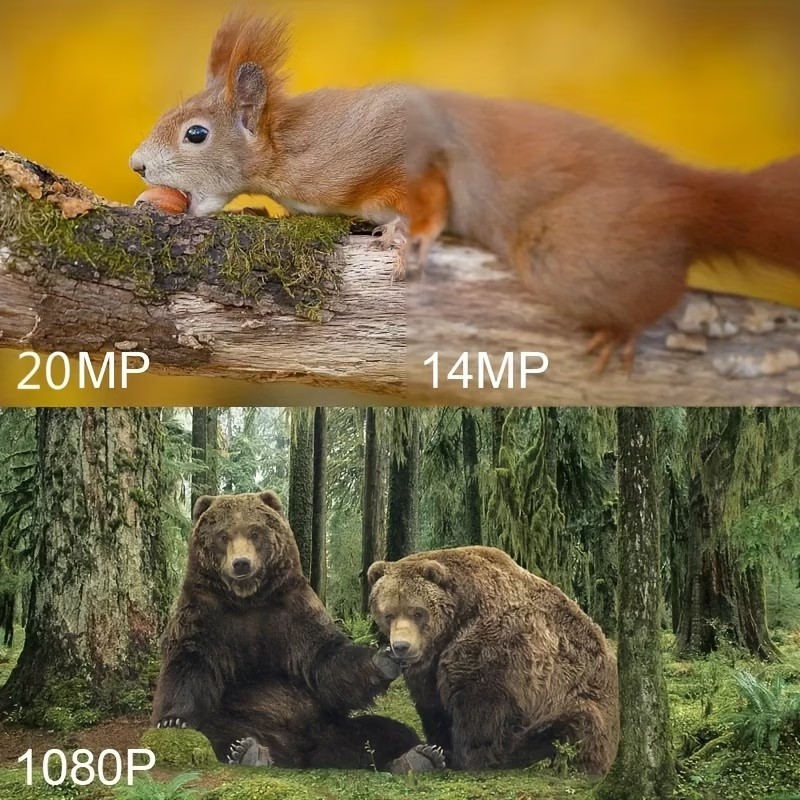 屋外狩猟用トレイルカメラ 1080P PIR 15M 狩猟用 - Outdoor Hunting Camera Wireless のレビューと価格
