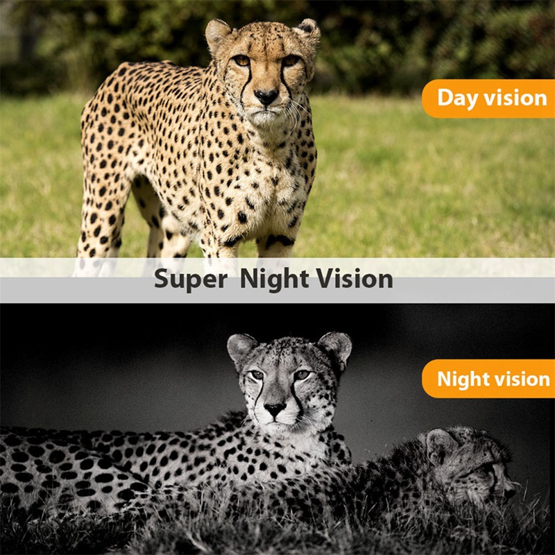 -801A 4K UHD 36MP 4G LTE ナイトビジ - Outdoor Hunting Camera Wireless のレビューと価格
