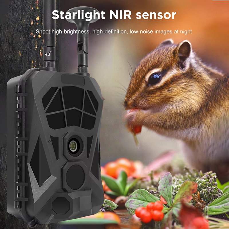 長距離ワイヤレス赤外線トレイルカメラ,屋外野生生物監視,狩猟 - Outdoor Hunting Camera Wireless のレビューと価格