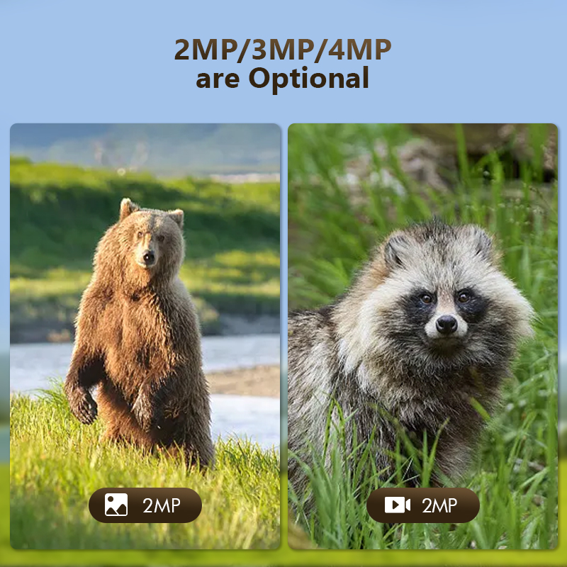 トレイルおよび屋外撮影カメラ,4mp,wifiアプリ,ソーラ - Outdoor Hunting Camera Wireless のレビューと価格