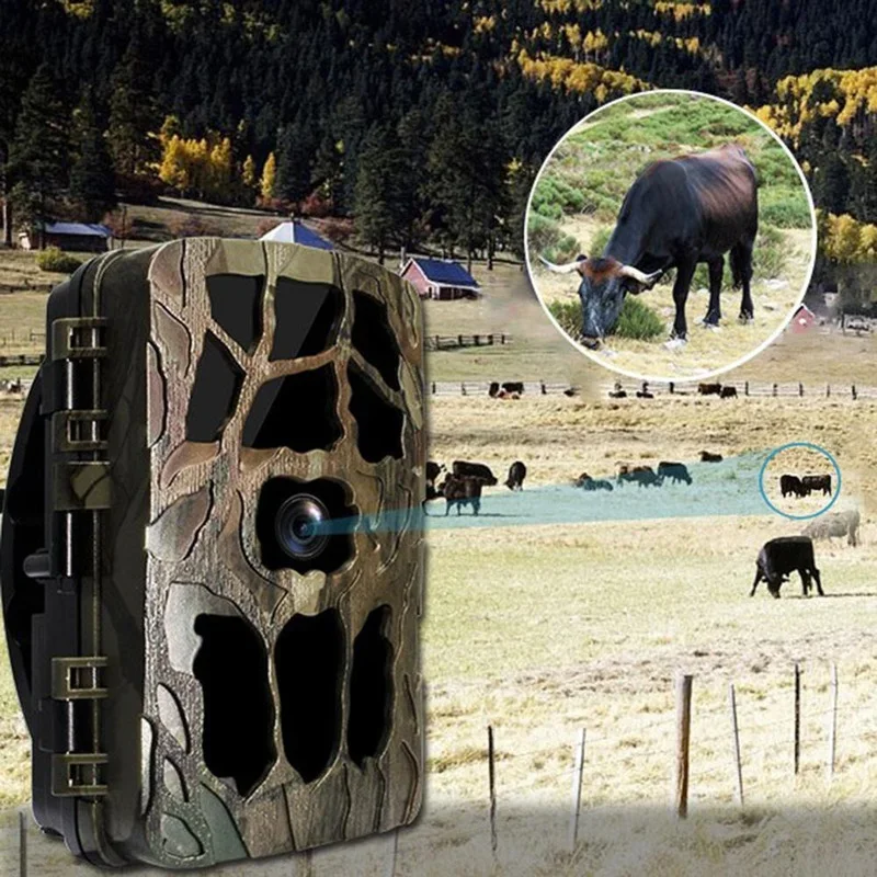 防水赤外線暗視カメラ,1080p,4K (h982),暗視機 - Outdoor Hunting Camera Wireless のレビューと価格